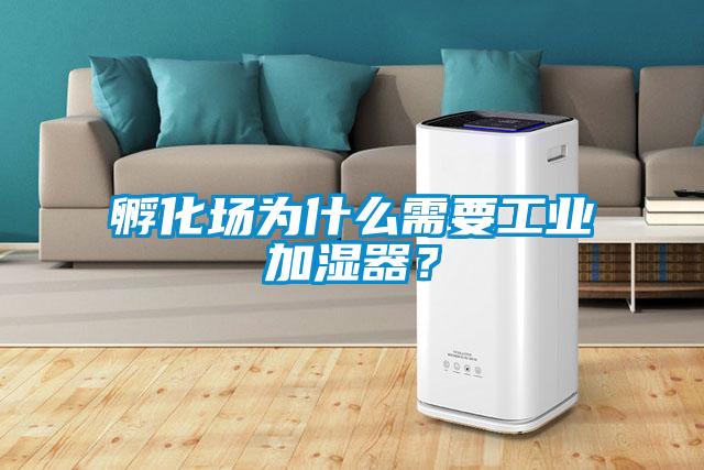 孵化场为什么需要工业加湿器?