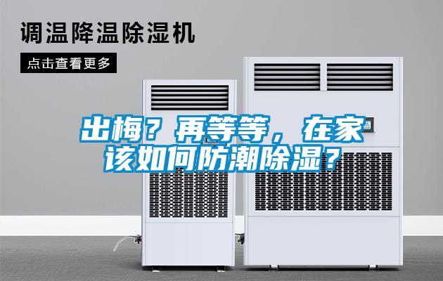 出梅?再等等,在家该如何防潮除湿?