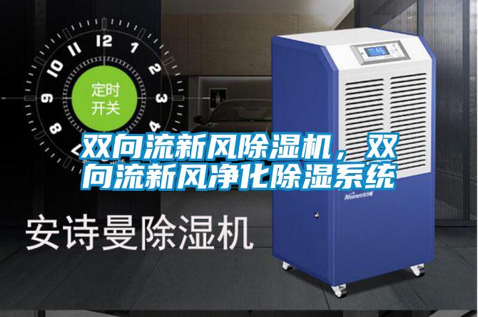 双向流新风除湿机,双向流新风净化除湿系统