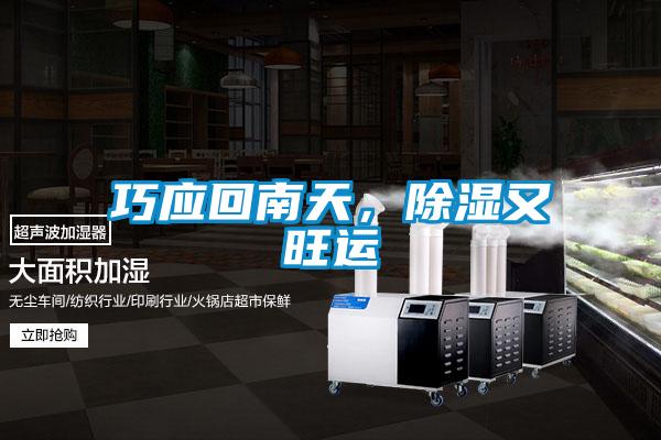 巧应回南天,除湿又旺运