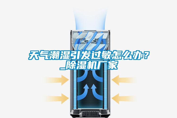 天气潮湿引发过敏怎么办?_除湿机厂家