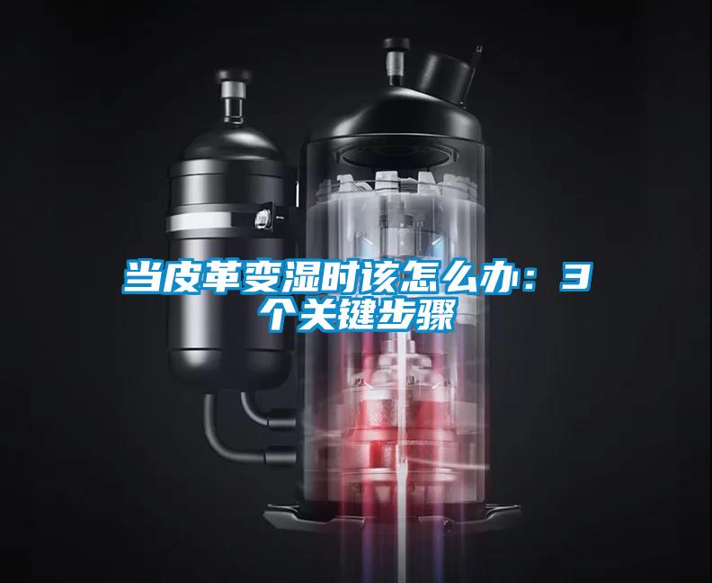 当皮革变湿时该怎么办:3个关键步骤