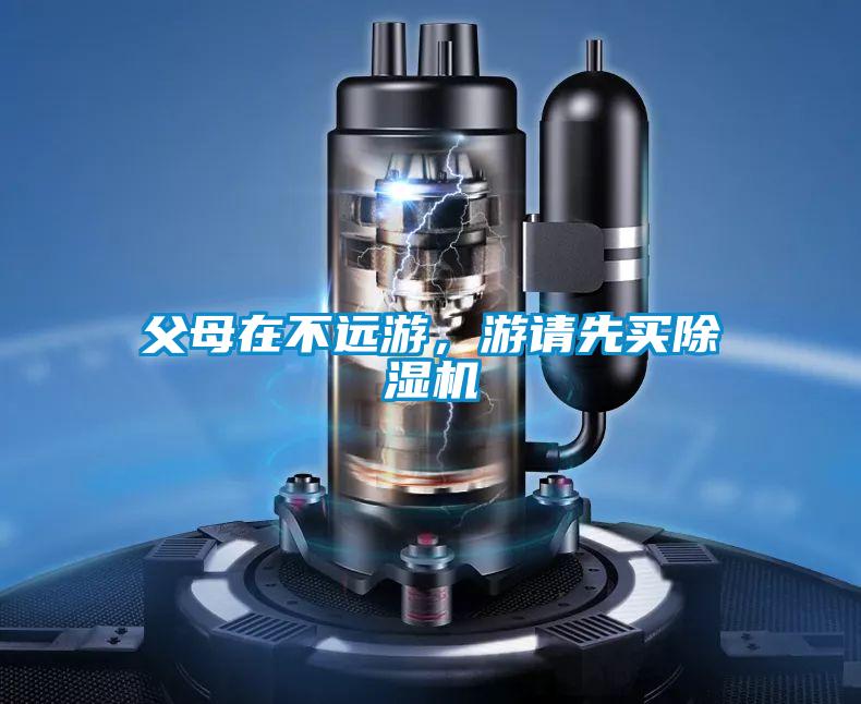 父母在不远游,游请先买除湿机