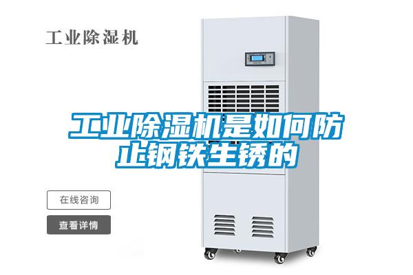 星空娱乐彩票是什么网站是如何防止钢铁生锈的