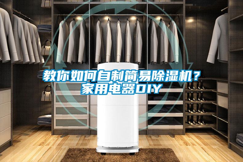 教你如何自制简易除湿机?家用电器DIY