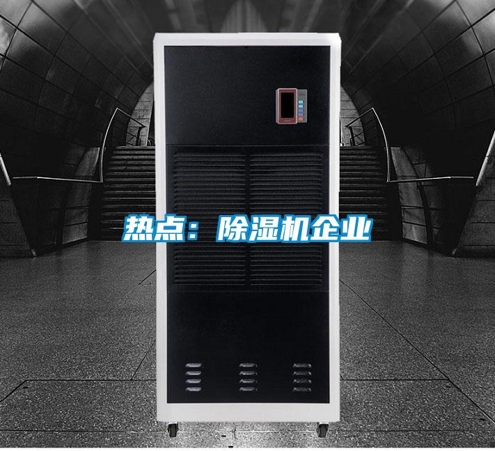 热点:除湿机企业