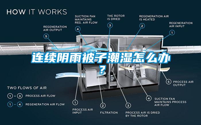 连续阴雨被子潮湿怎么办?