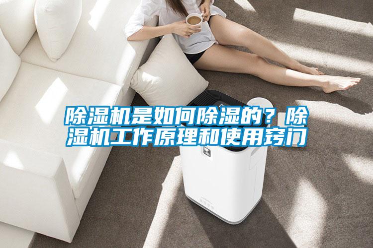 除湿机是如何除湿的?除湿机工作原理和使用窍门