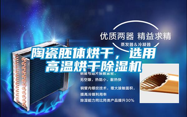 陶瓷胚体烘干,选用高温烘干除湿机