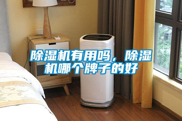 除湿机有用吗,除湿机哪个牌子的好
