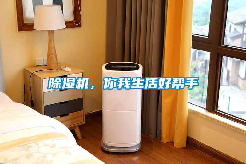 除湿机,你我生活好帮手