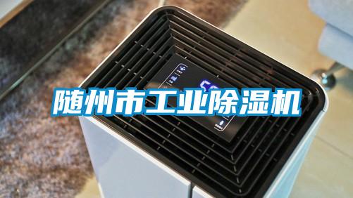 随州市星空娱乐彩票是什么网站