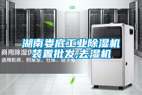 湖南娄底星空娱乐彩票是什么网站装置批发,去湿机