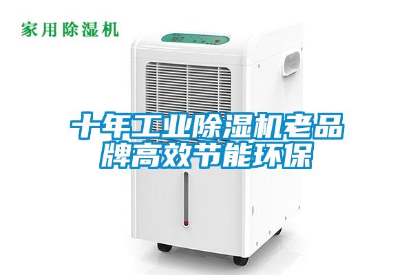 十年星空娱乐彩票是什么网站老品牌高效节能环保