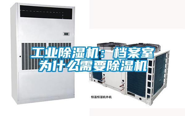 星空娱乐彩票是什么网站:档案室为什么需要除湿机