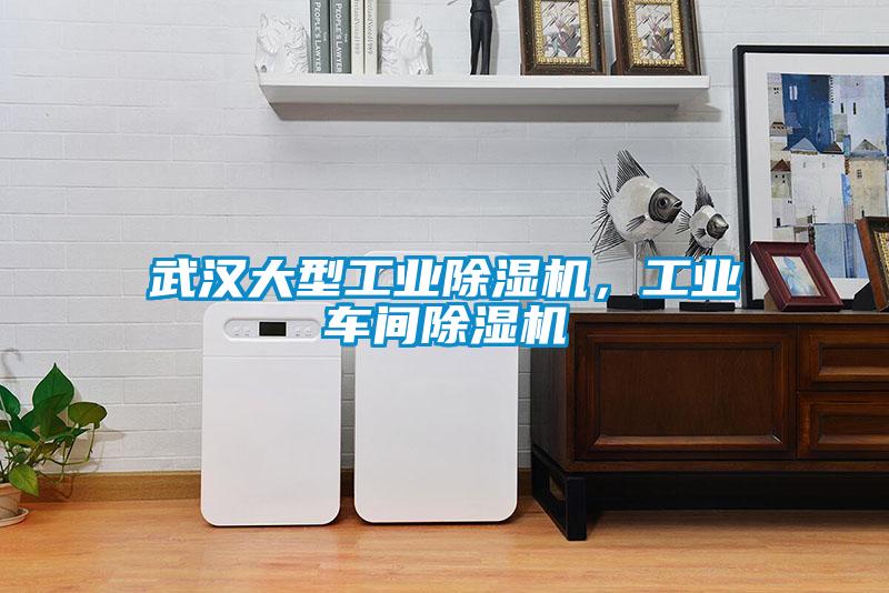 武汉大型星空娱乐彩票是什么网站,工业车间除湿机