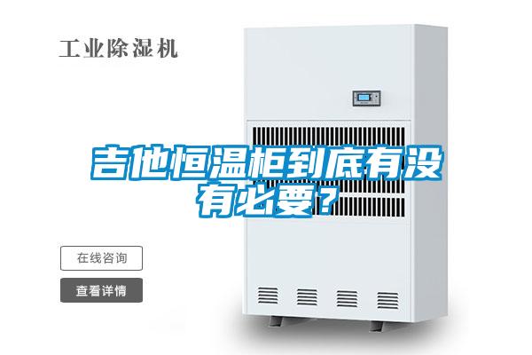 吉他恒温柜到底有没有必要?