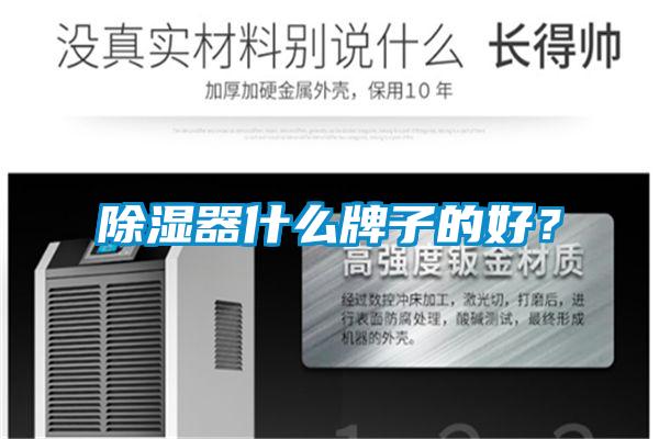 除湿器什么牌子的好?