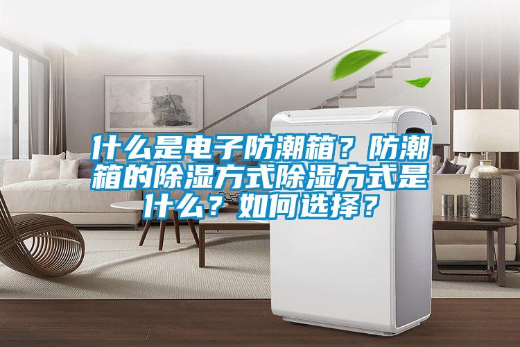 什么是电子防潮箱?防潮箱的除湿方式除湿方式是什么?如何选择?