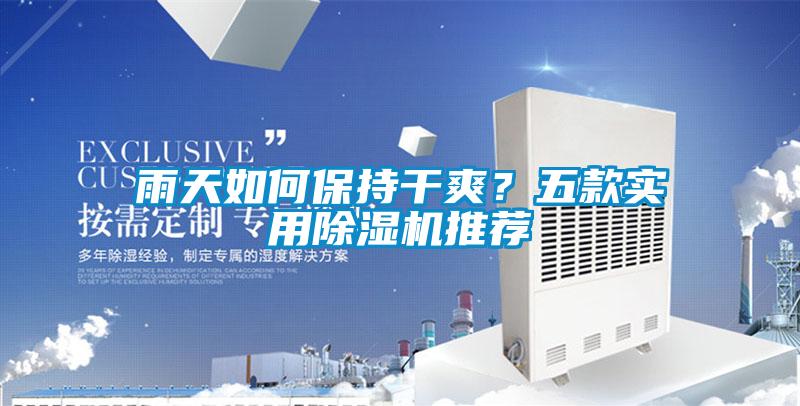 雨天如何保持干爽?五款实用除湿机推荐