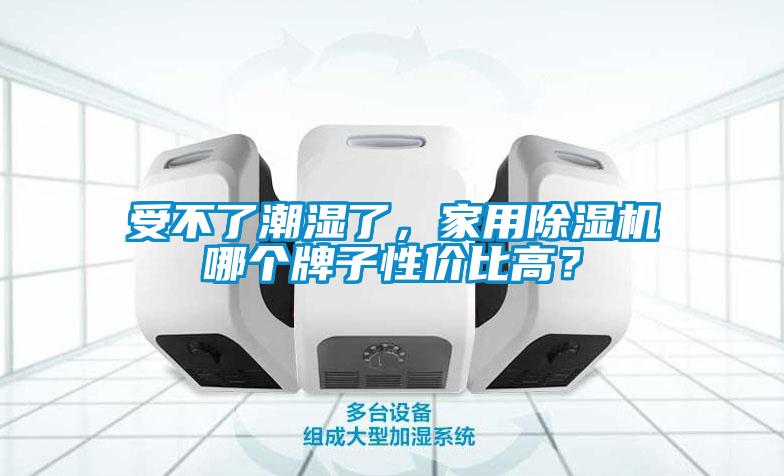 受不了潮湿了,星空体育app官网哪个牌子性价比高?
