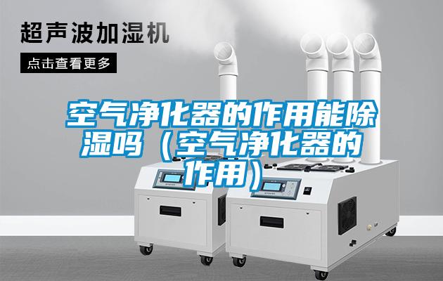 空气净化器的作用能除湿吗(空气净化器的作用)