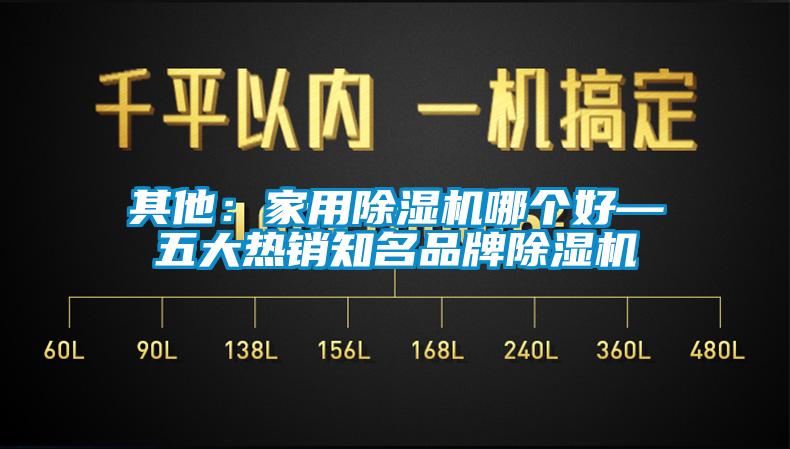 其他:星空体育app官网哪个好—五大热销知名品牌除湿机