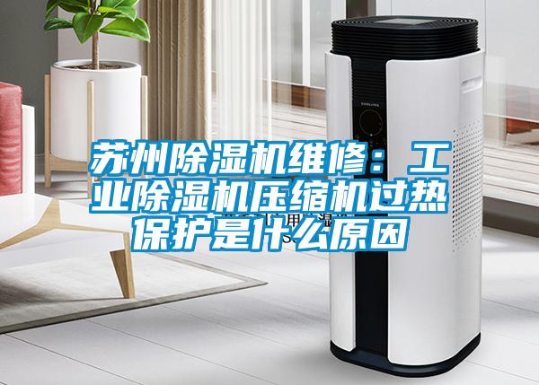 苏州除湿机维修:星空娱乐彩票是什么网站压缩机过热保护是什么原因