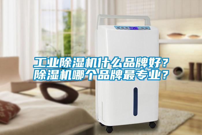 星空娱乐彩票是什么网站什么品牌好?除湿机哪个品牌最专业?