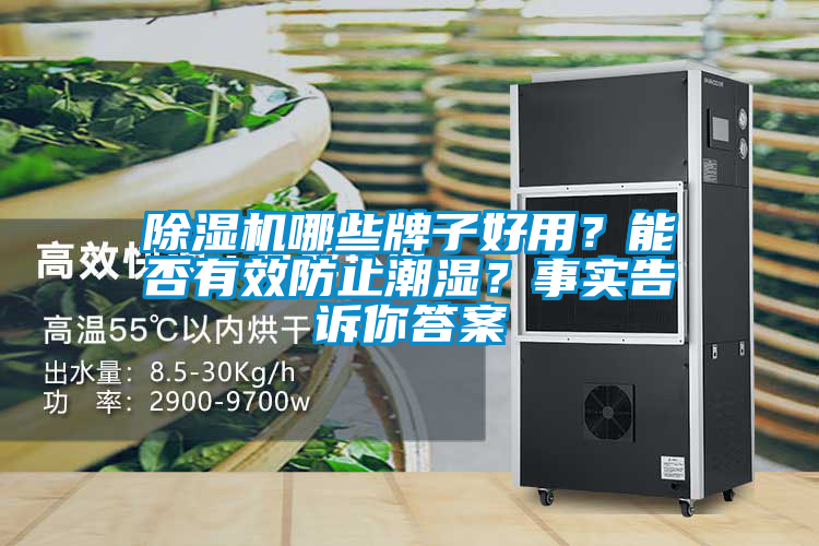 除湿机哪些牌子好用?能否有效防止潮湿?事实告诉你答案