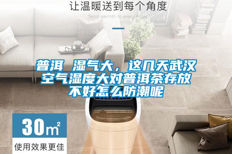 普洱 湿气大,这几天武汉空气湿度大对普洱茶存放不好怎么防潮呢