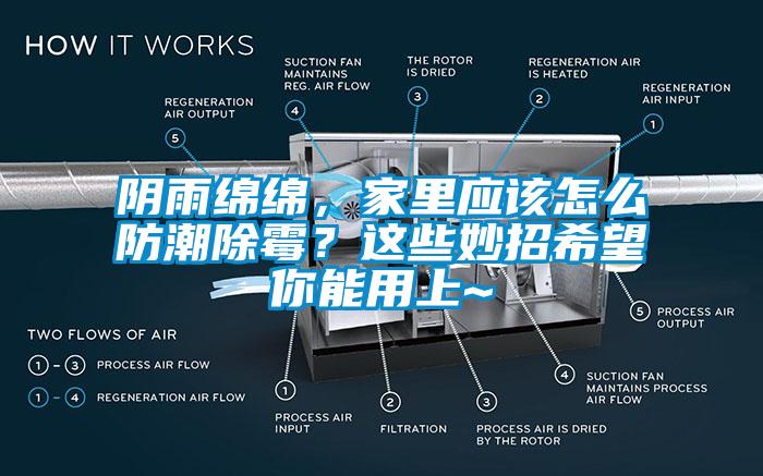 阴雨绵绵,家里应该怎么防潮除霉?这些妙招希望你能用上~