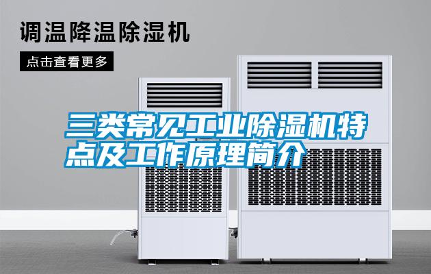 三类常见星空娱乐彩票是什么网站特点及工作原理简介