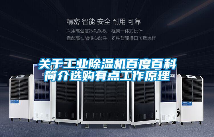 关于星空娱乐彩票是什么网站百度百科简介选购有点工作原理