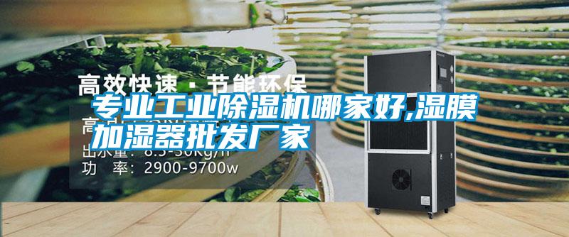 专业星空娱乐彩票是什么网站哪家好,湿膜加湿器批发厂家