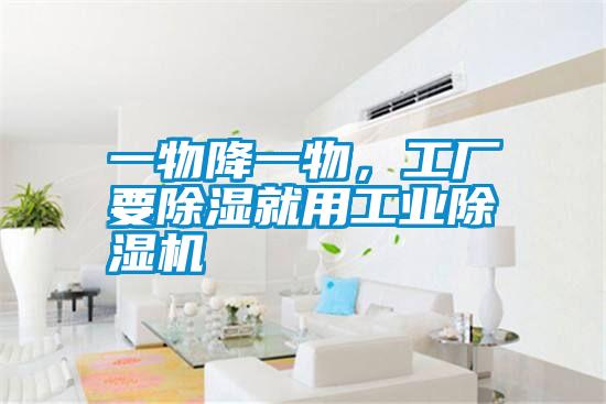 一物降一物，工厂要除湿就用星空娱乐彩票是什么网站