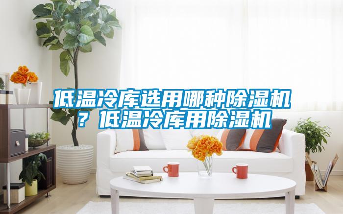 低温冷库选用哪种除湿机？低温冷库用除湿机