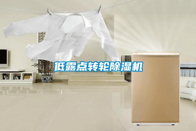 低露点转轮除湿机