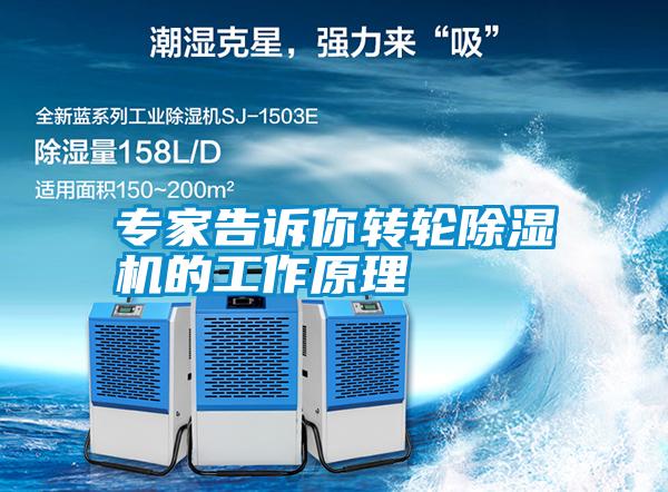 专家告诉你转轮除湿机的工作原理