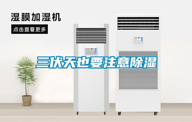 三伏天也要注意除湿