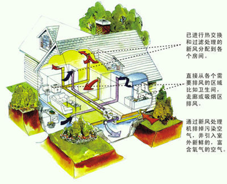 星空娱乐彩票是什么网站厂家