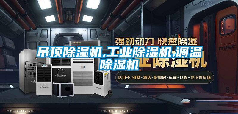 吊顶除湿机,星空娱乐彩票是什么网站,调温除湿机