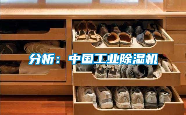 分析：中国星空娱乐彩票是什么网站