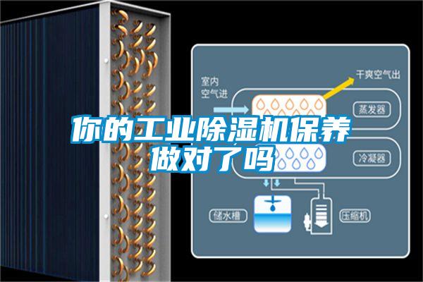 你的星空娱乐彩票是什么网站保养做对了吗
