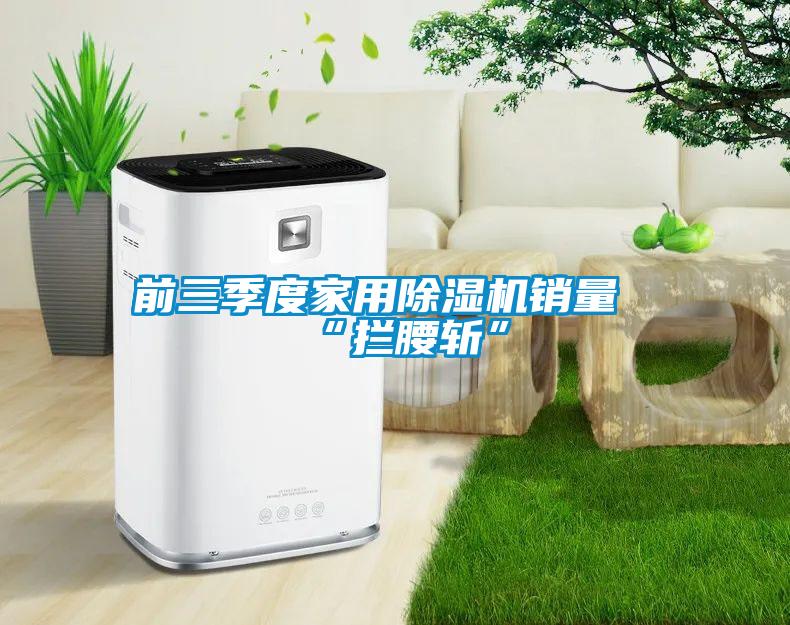 前三季度星空体育app官网销量“拦腰斩”