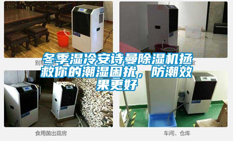 冬季湿冷xk星空体育官网除湿机拯救你的潮湿困扰，防潮效果更好