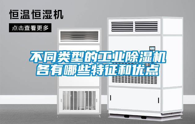 不同类型的星空娱乐彩票是什么网站各有哪些特征和优点