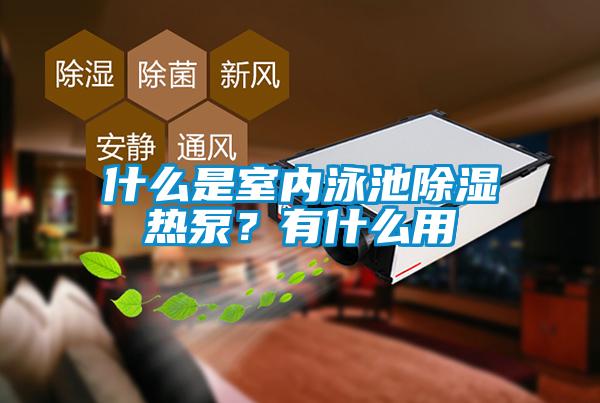 什么是室内泳池除湿热泵？有什么用