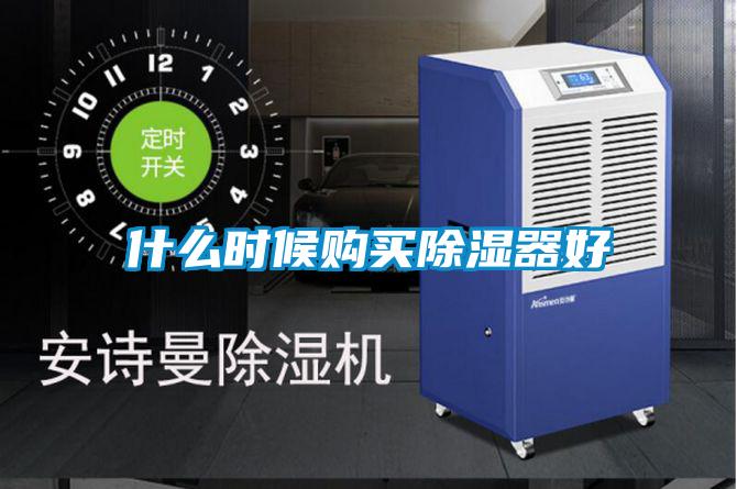 什么时候购买除湿器好