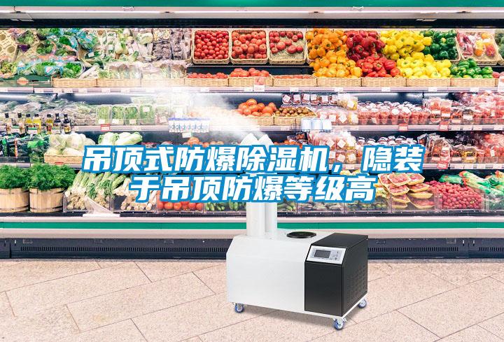 吊顶式防爆除湿机，隐装于吊顶防爆等级高
